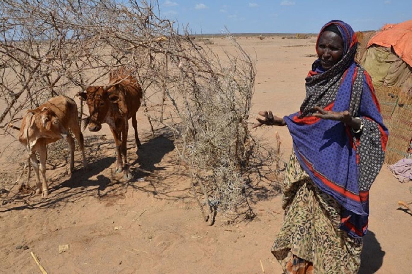 BM Doğu Afrika'daki kuraklığa karşı uyardı